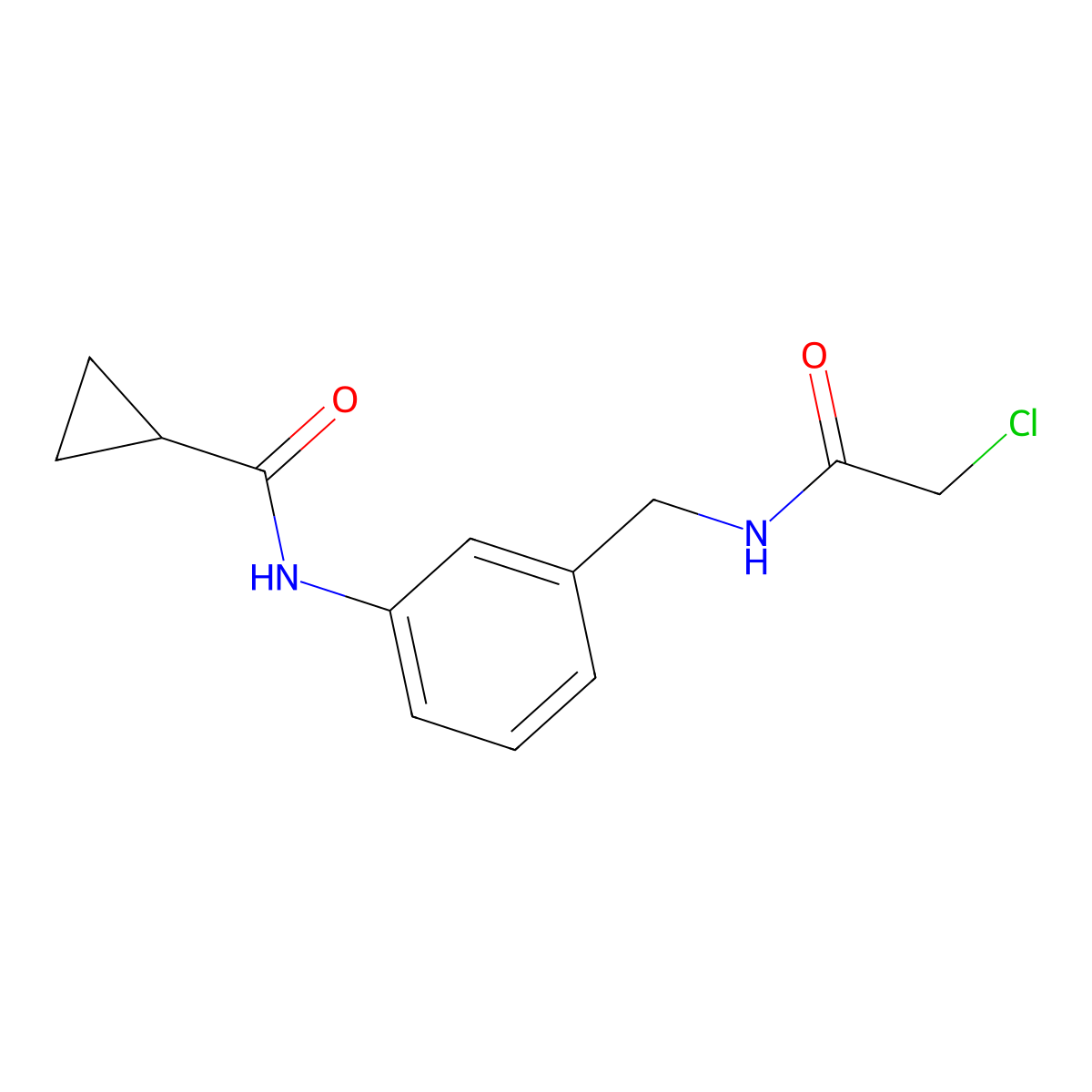 N-{3-[(2-chloroacetamido)methyl]phenyl}cyclopropanecarboxamide molecular structure, CAS 1087784-15-3