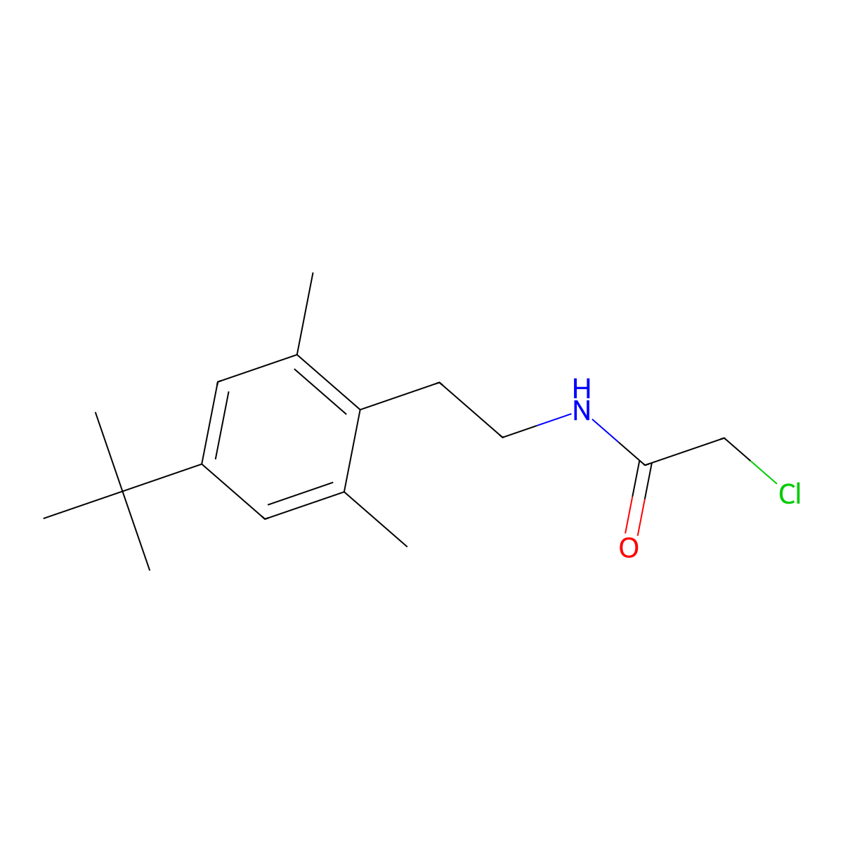 N-[2-(4-tert-butyl-2,6-dimethylphenyl)ethyl]-2-chloroacetamide molecular structure, CAS 1087791-95-4