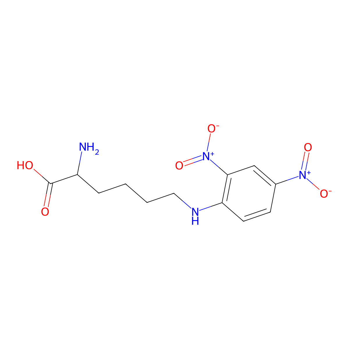 N6-(2,4-Dinitrophenyl)-L-lysine molecular structure, CAS 1094-76-4