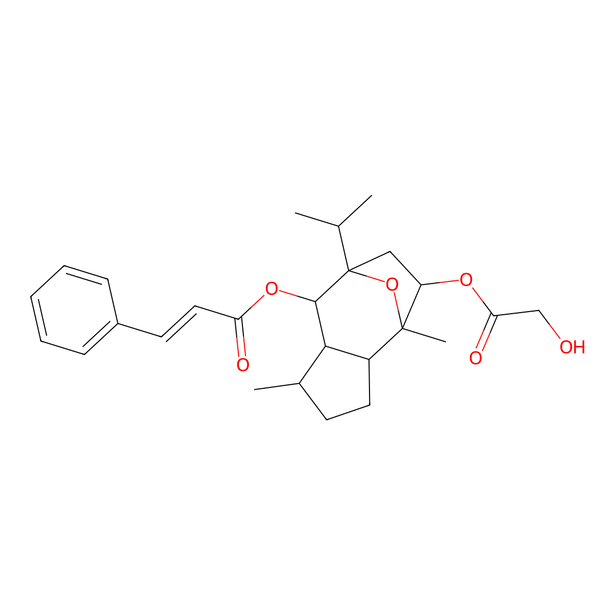Englerin A molecular structure, CAS 1094250-15-3