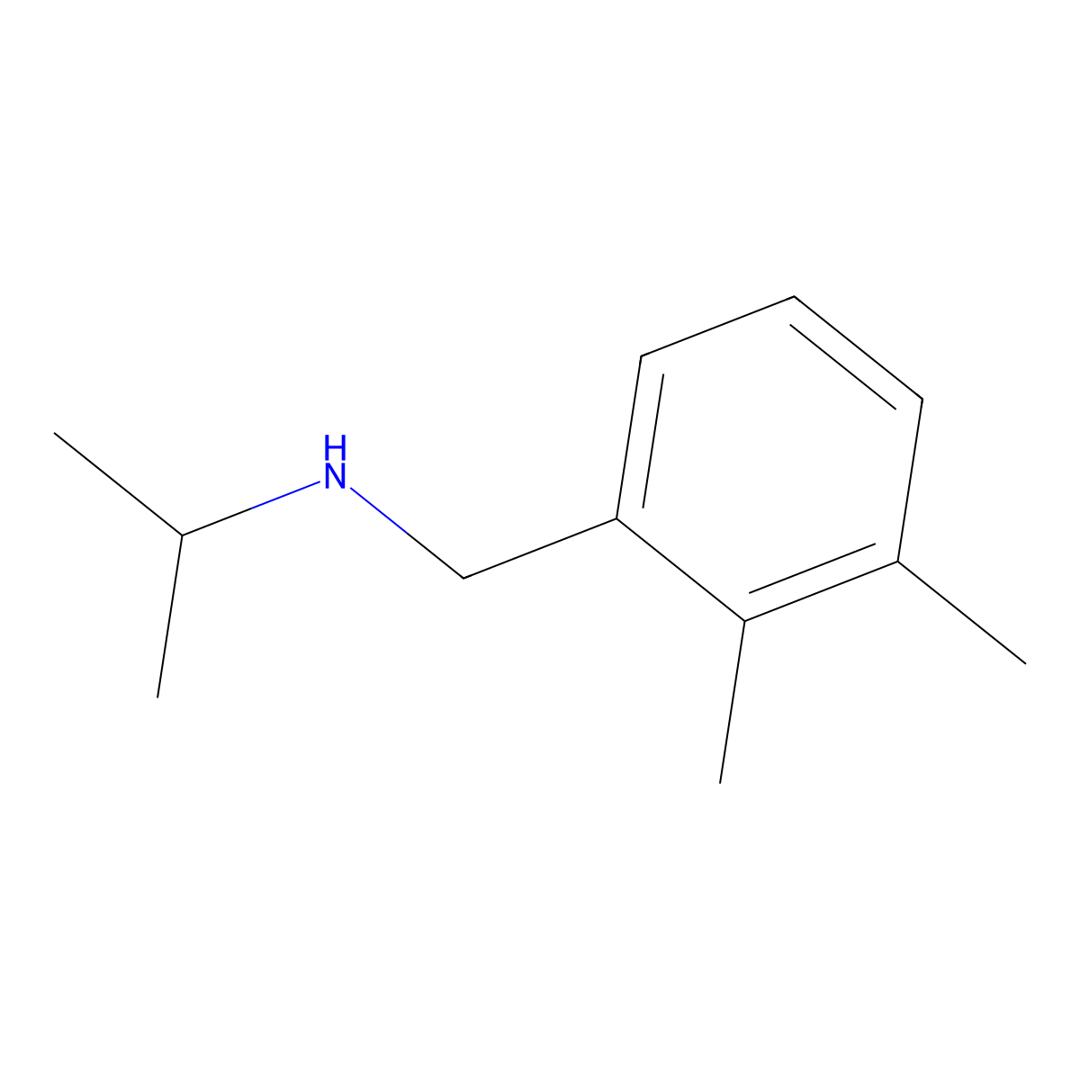 [(2,3-Dimethylphenyl)methyl](propan-2-yl)amine molecular structure, CAS 1094257-45-0
