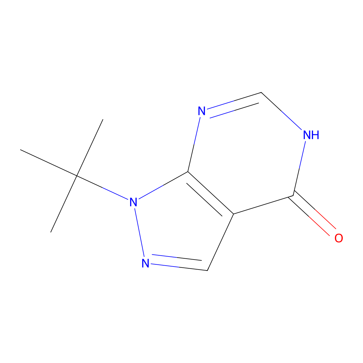 1-tert-butyl-1H,4H,5H-pyrazolo[3,4-d]pyrimidin-4-one molecular structure, CAS 1094377-59-9