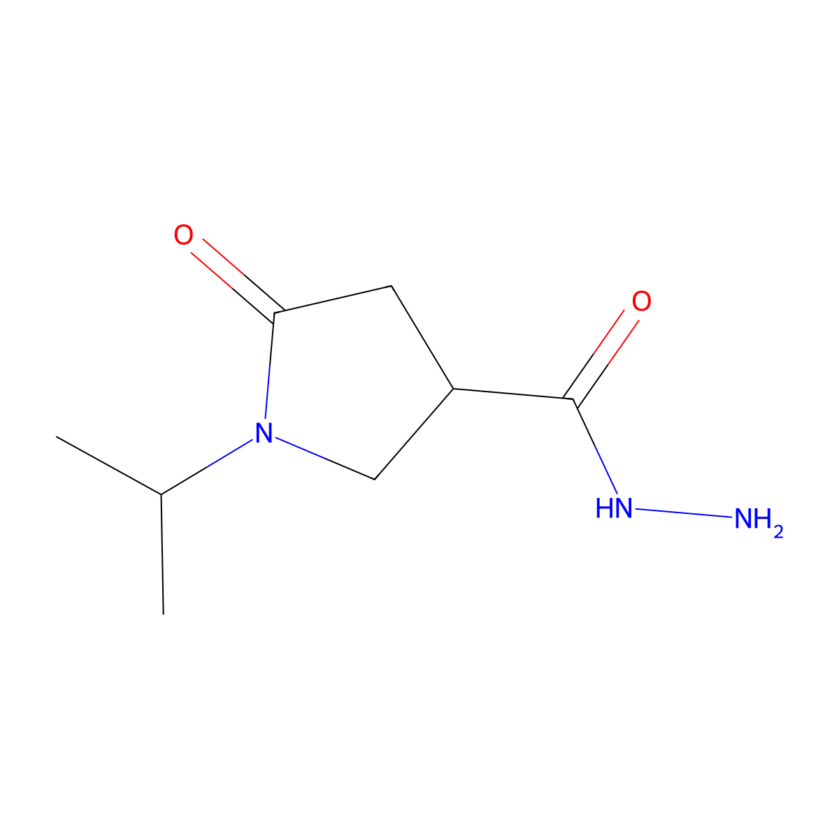 1-Isopropyl-5-oxopyrrolidine-3-carbohydrazide molecular structure, CAS 1094533-59-1