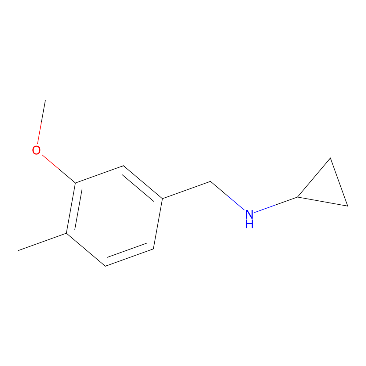 Cyclopropyl-(3-methoxy-4-methylbenzyl)-amine molecular structure, CAS 1094641-85-6