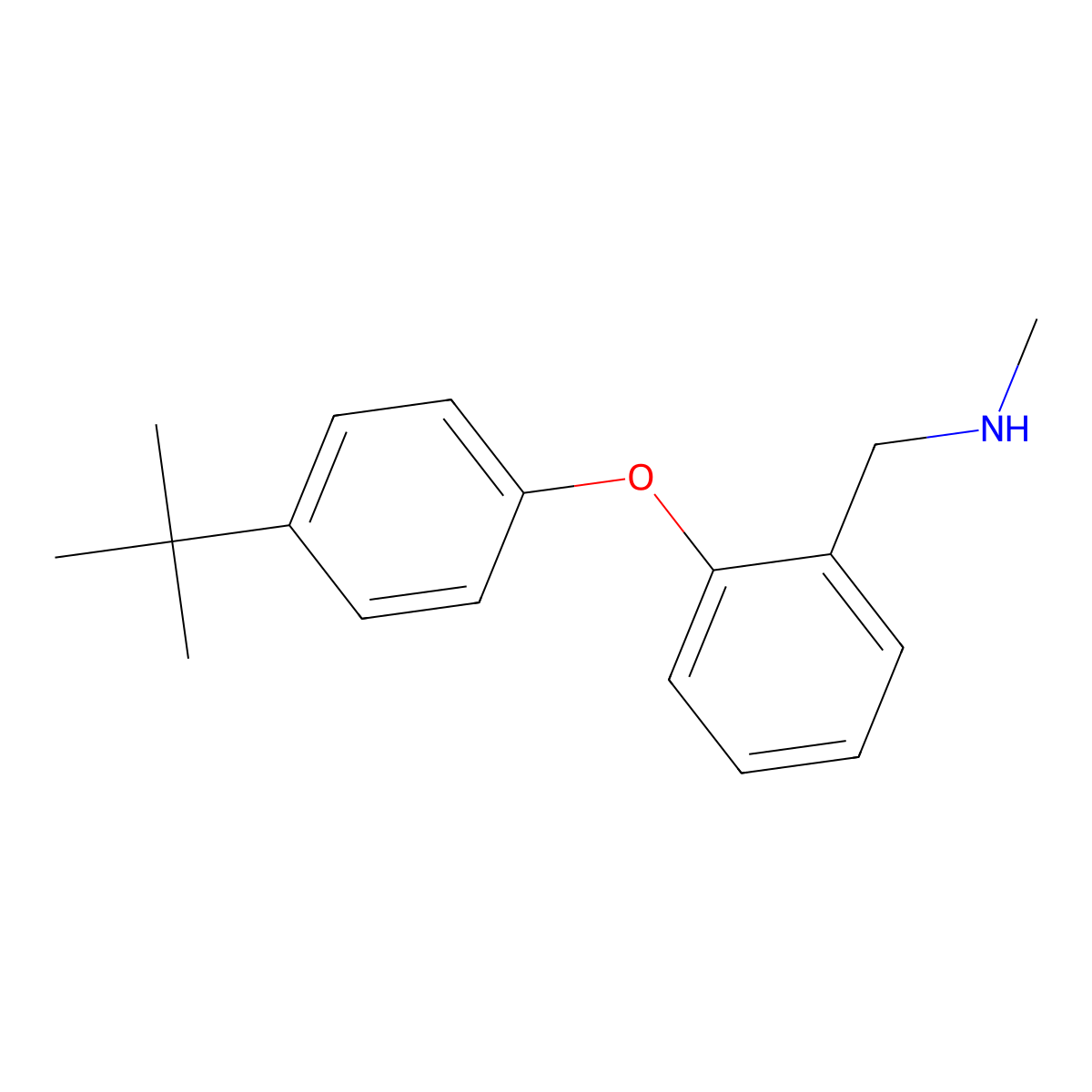 N-[2-(4-tert-Butylphenoxy)benzyl]-N-methylamine molecular structure, CAS 1095104-40-7