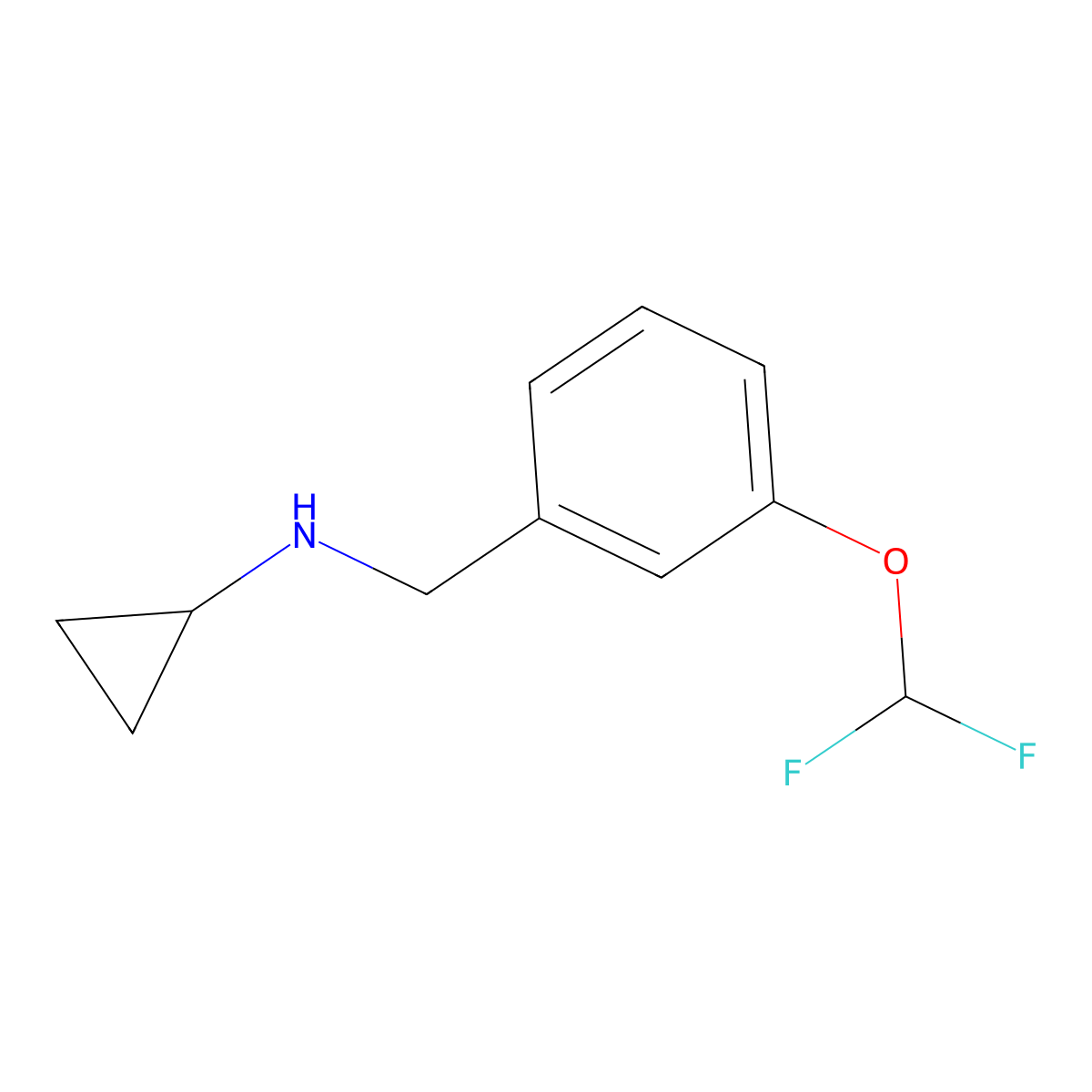 Cyclopropyl-(3-difluoromethoxy-benzyl)-amine molecular structure, CAS 1095240-00-8