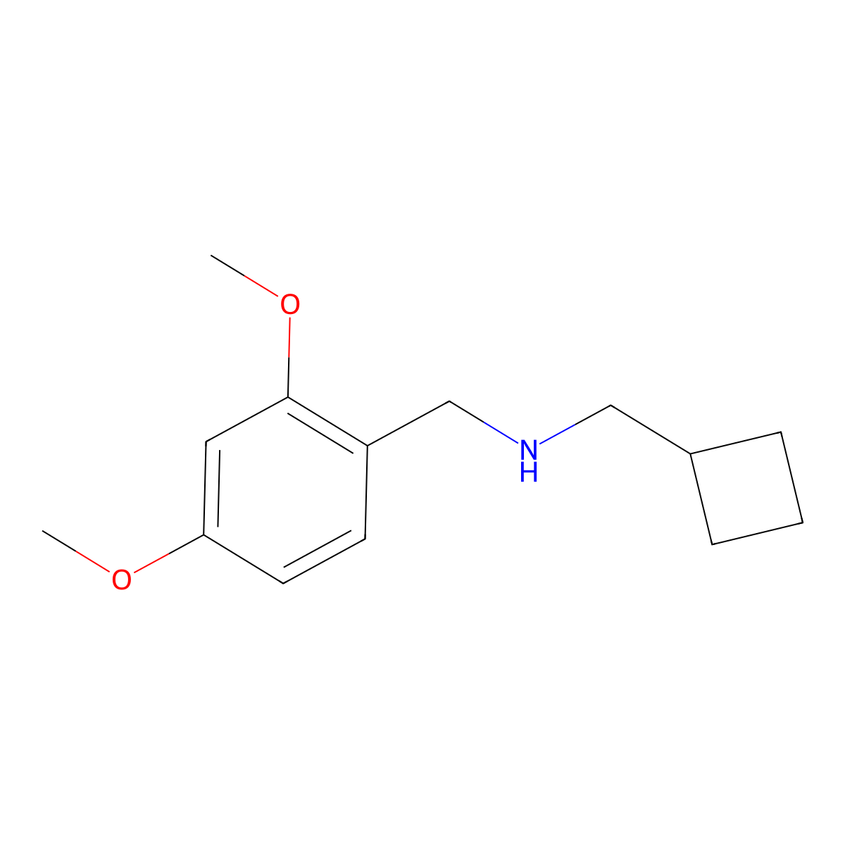 (Cyclobutylmethyl)[(2,4-dimethoxyphenyl)methyl]amine molecular structure, CAS 1096278-17-9