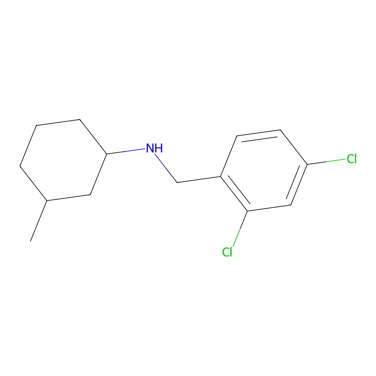 N-[(2,4-dichlorophenyl)methyl]-3-methylcyclohexan-1-amine molecular structure, CAS 1096296-14-8