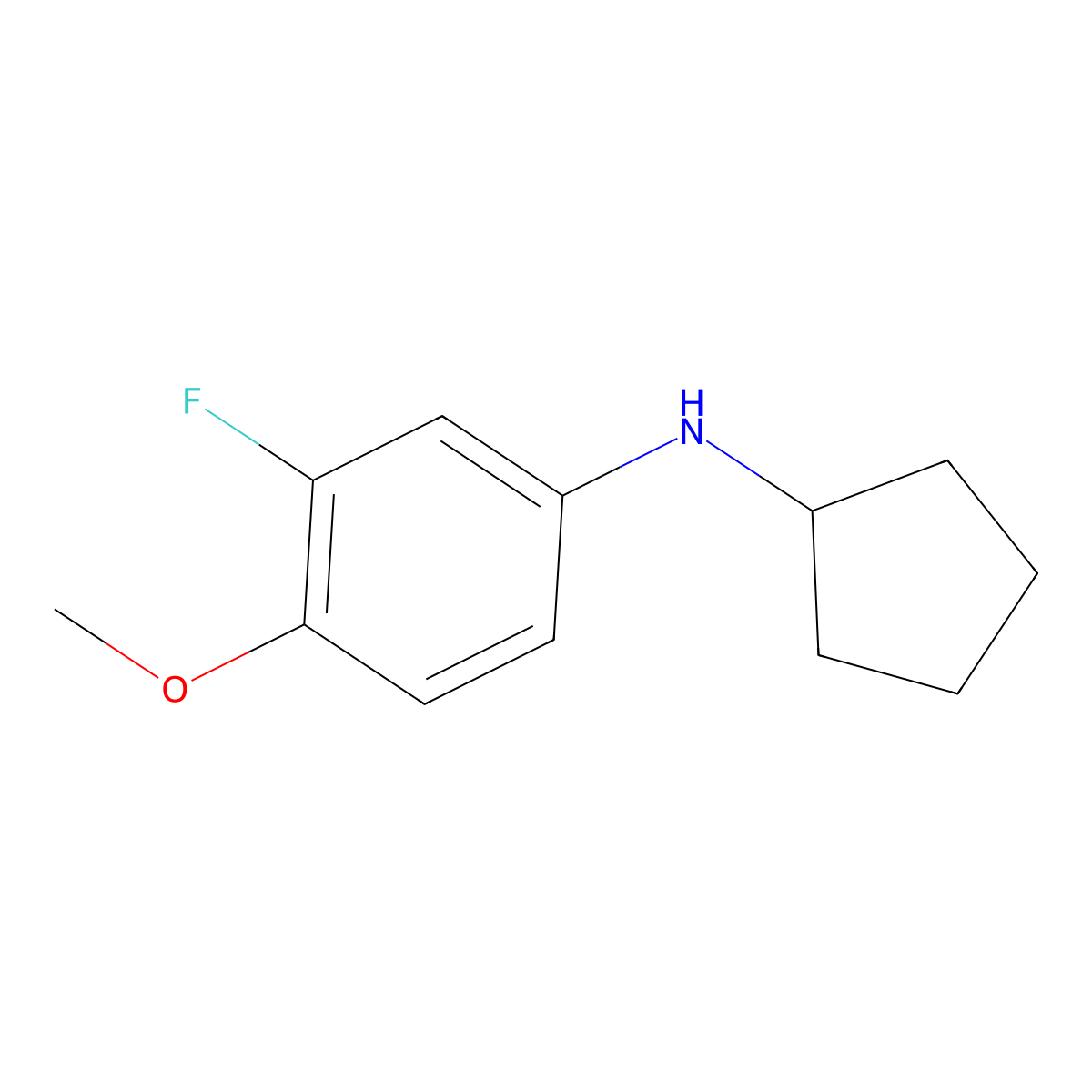 N-cyclopentyl-3-fluoro-4-methoxyaniline molecular structure, CAS 1096888-48-0