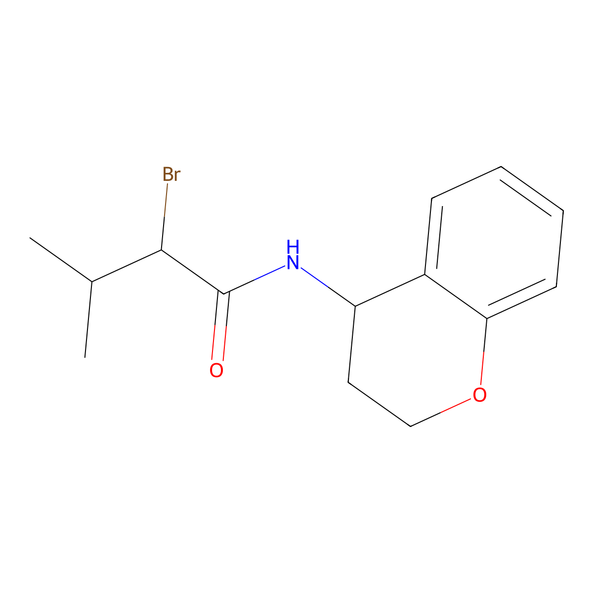 2-bromo-N-(3,4-dihydro-2H-1-benzopyran-4-yl)-3-methylbutanamide molecular structure, CAS 1097794-77-8