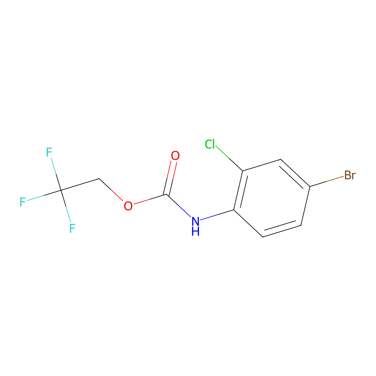 2,2,2-trifluoroethyl N-(4-bromo-2-chlorophenyl)carbamate molecular structure, CAS 1097815-60-5