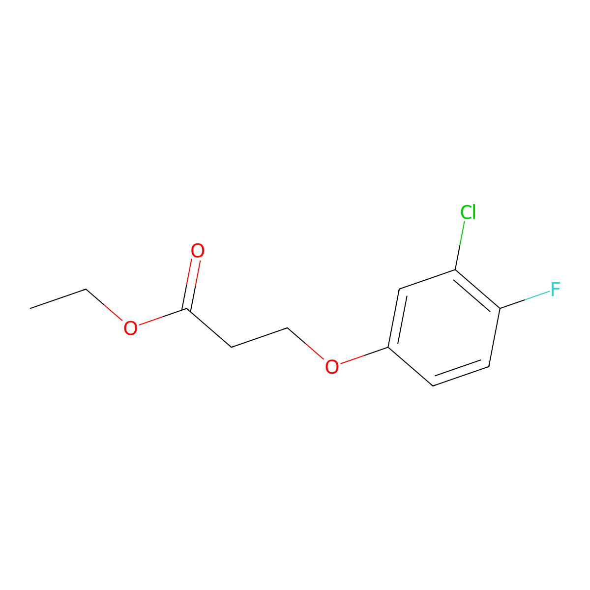 Ethyl 3-(3-chloro-4-fluoro-phenoxy)propanoate molecular structure, CAS 1099681-71-6