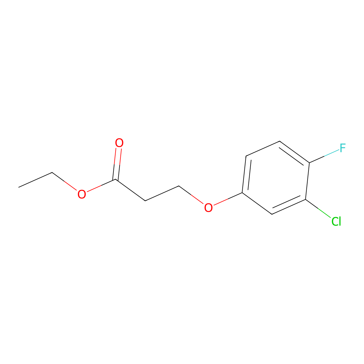 Ethyl 3-(3-chloro-4-fluoro-phenoxy)propanoate molecular structure, CAS 1099681-71-6