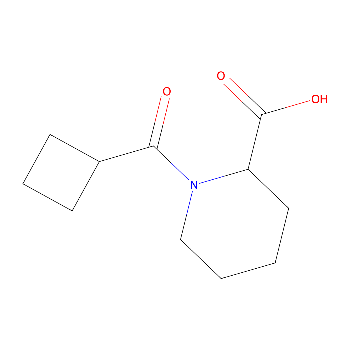 1-(Cyclobutylcarbonyl)-2-piperidinecarboxylic acid molecular structure, CAS 1101762-67-7