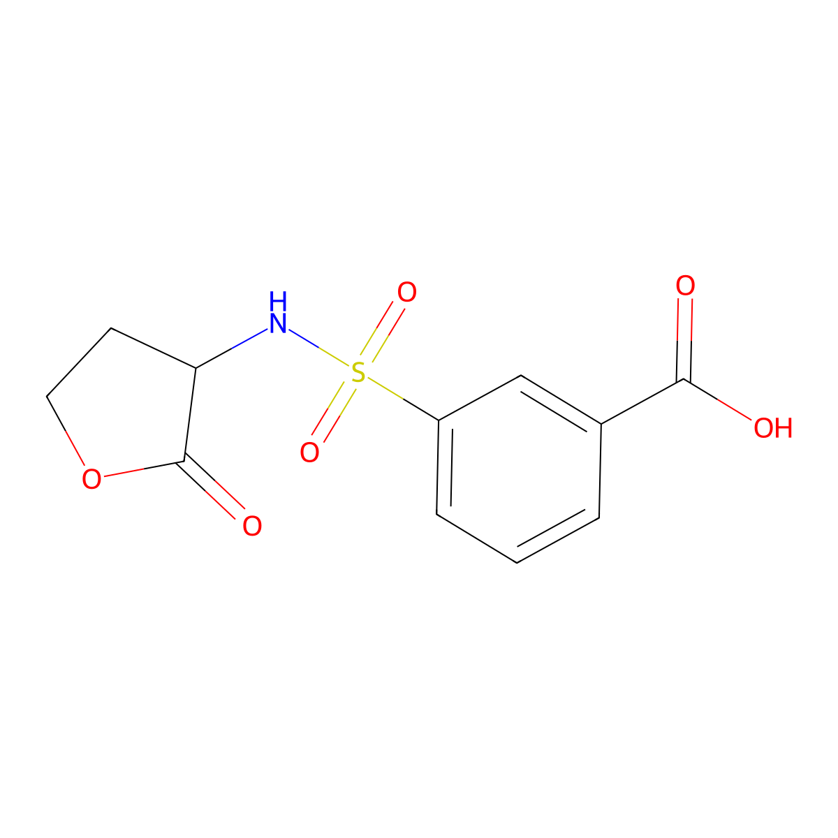 3-[(2-Oxooxolan-3-yl)sulfamoyl]benzoic acid molecular structure, CAS 1105058-09-0
