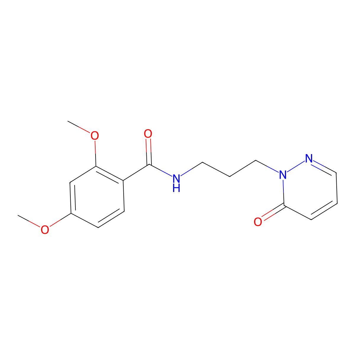 2,4-dimethoxy-N-(3-(6-oxopyridazin-1(6H)-yl)propyl)benzamide molecular structure, CAS 1105199-40-3
