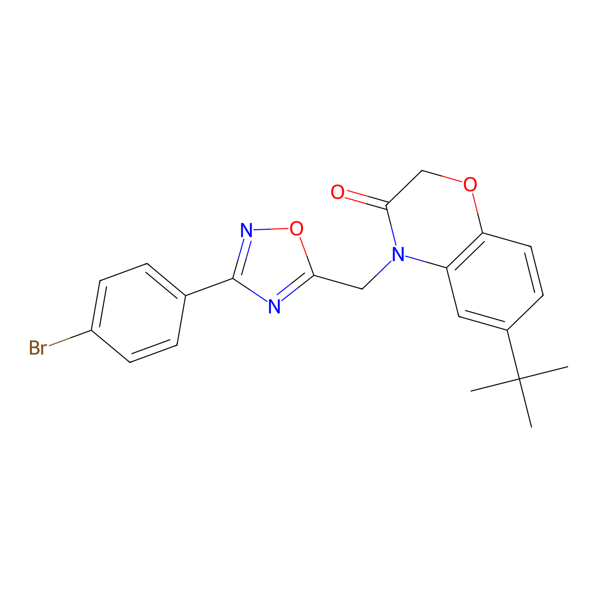 4-((3-(4-bromophenyl)-1,2,4-oxadiazol-5-yl)methyl)-6-(tert-butyl)-2H-benzo[b][1,4]oxazin-3(4H)-one molecular structure, CAS 1105209-28-6