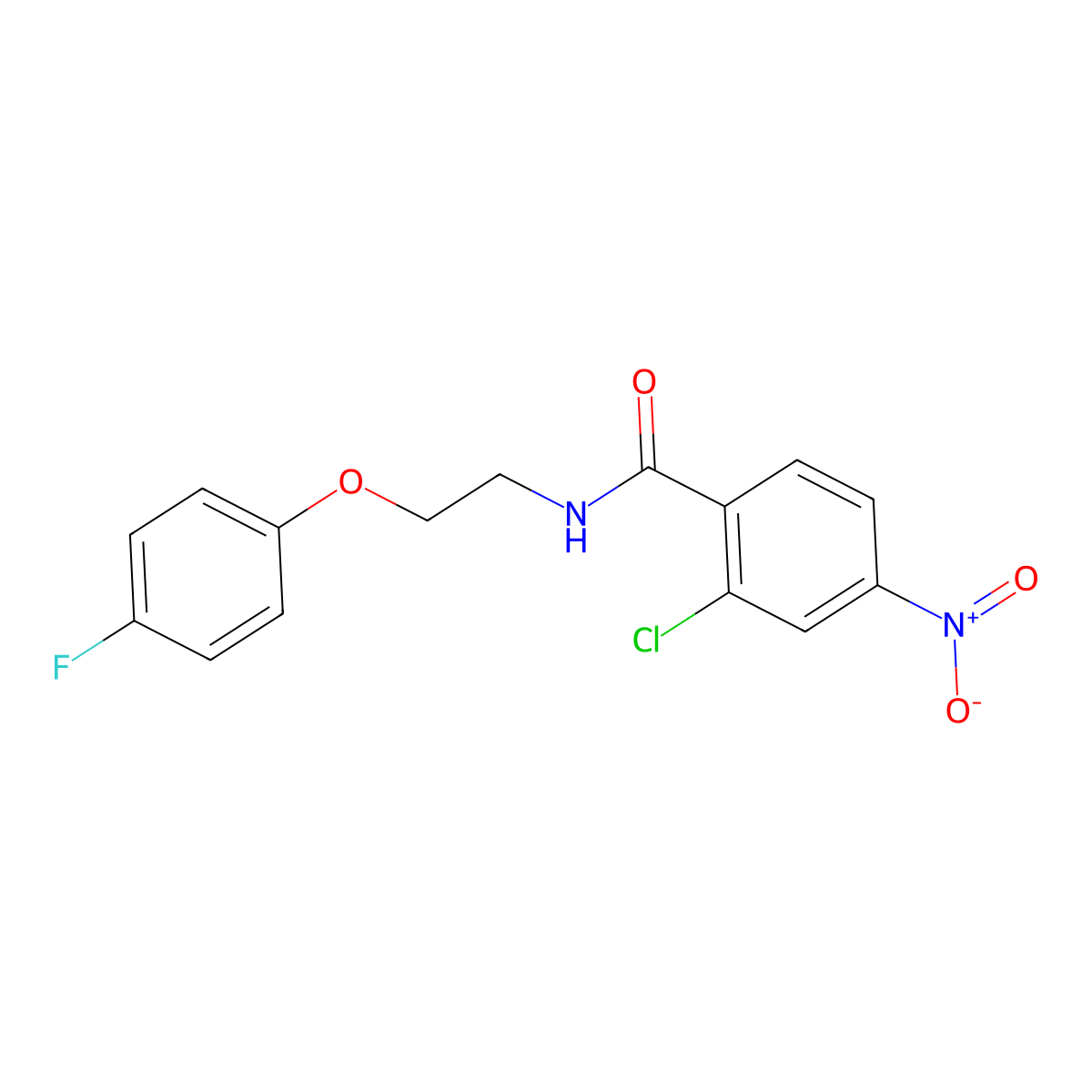 2-chloro-N-[2-(4-fluorophenoxy)ethyl]-4-nitrobenzamide molecular structure, CAS 1105209-81-1