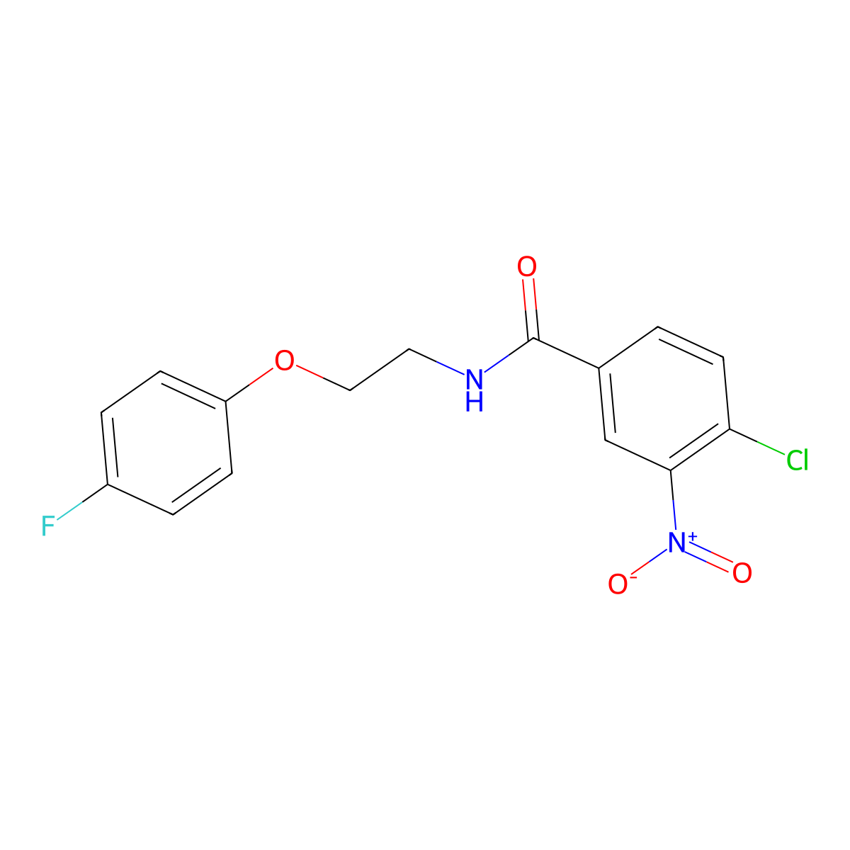 4-chloro-N-[2-(4-fluorophenoxy)ethyl]-3-nitrobenzamide molecular structure, CAS 1105227-99-3