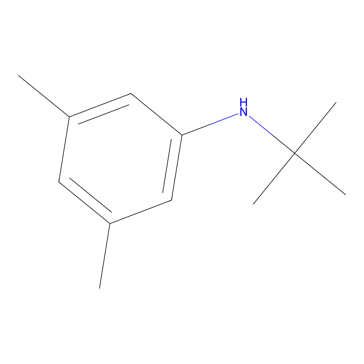 N-tert-Butyl-3,5-dimethylaniline molecular structure, CAS 110993-40-3