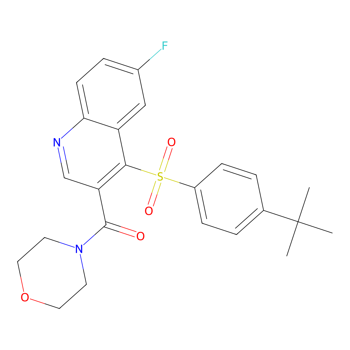 (4-((4-(Tert-butyl)phenyl)sulfonyl)-6-fluoroquinolin-3-yl)(morpholino)methanone molecular structure, CAS 1110976-40-3