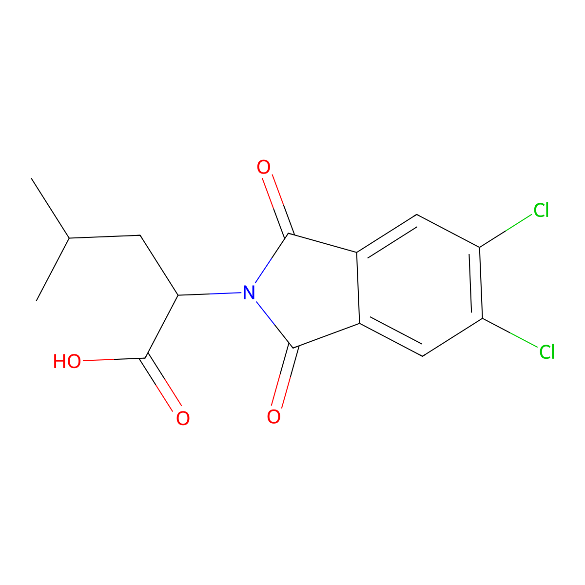 2-(5,6-dichloro-1,3-dioxo-1,3-dihydro-2H-isoindol-2-yl)-4-methylpentanoic acid molecular structure, CAS 111187-19-0