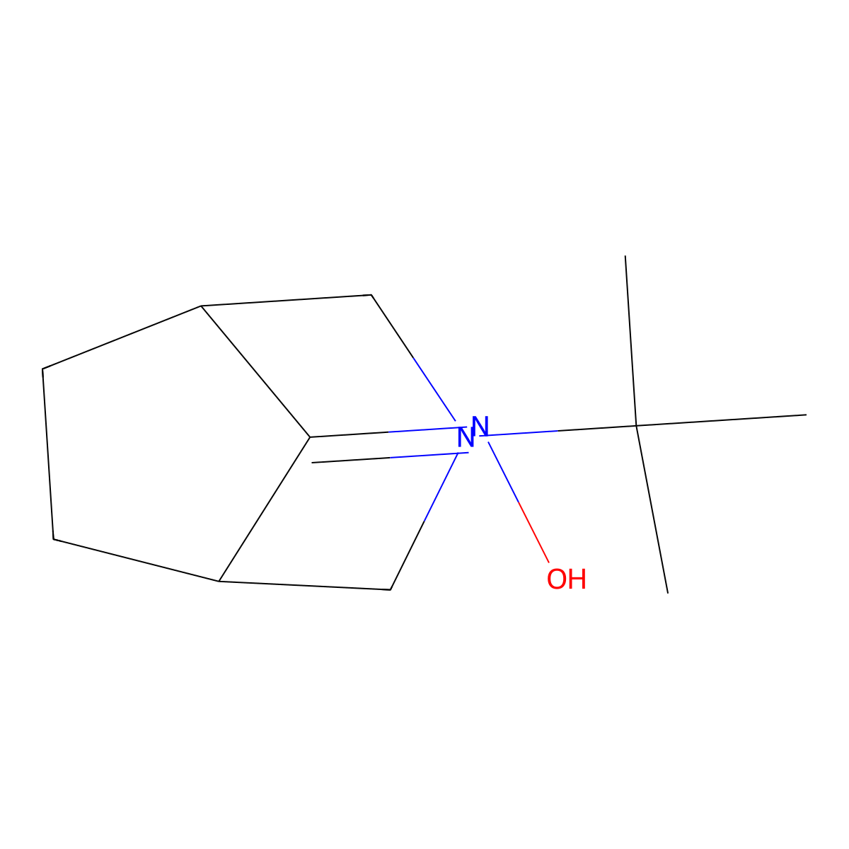 N-{3-tert-butyl-3-azabicyclo[3.2.1]octan-8-ylidene}hydroxylamine molecular structure, CAS 1118787-09-9