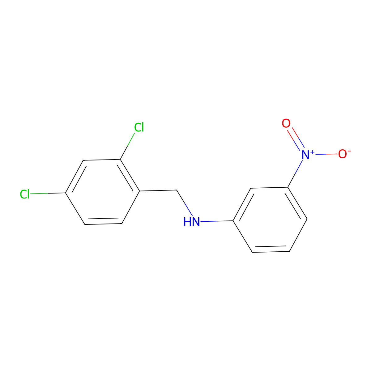 N-(2,4-dichlorobenzyl)-N-(3-nitrophenyl)amine molecular structure, CAS 1119449-46-5