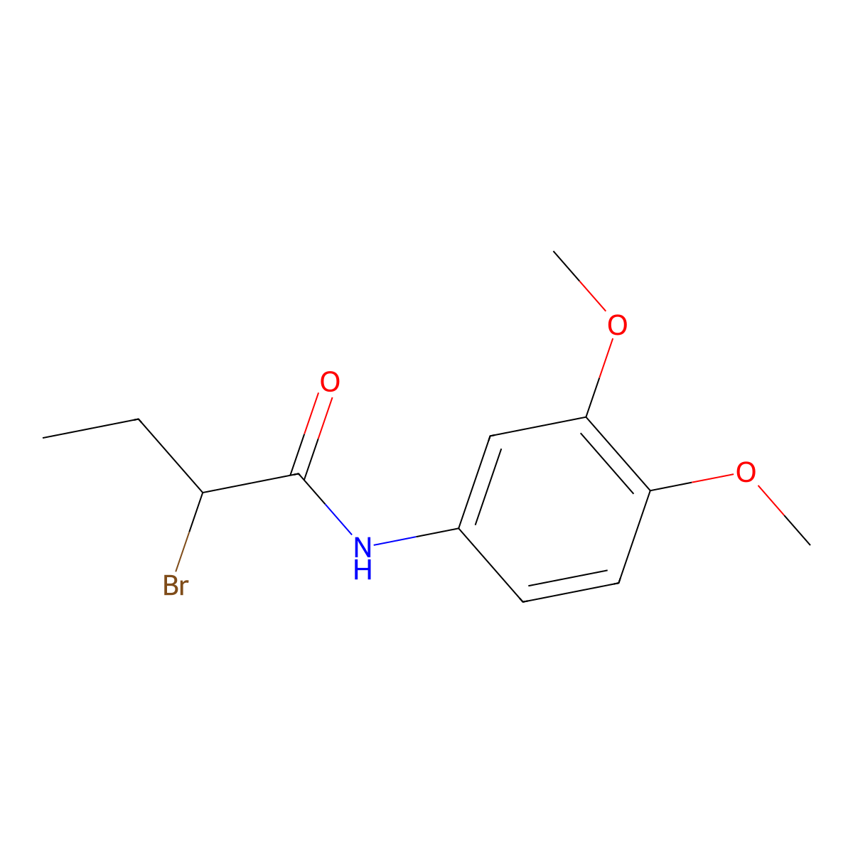 2-bromo-N-(3,4-dimethoxyphenyl)butanamide molecular structure, CAS 1119450-40-6
