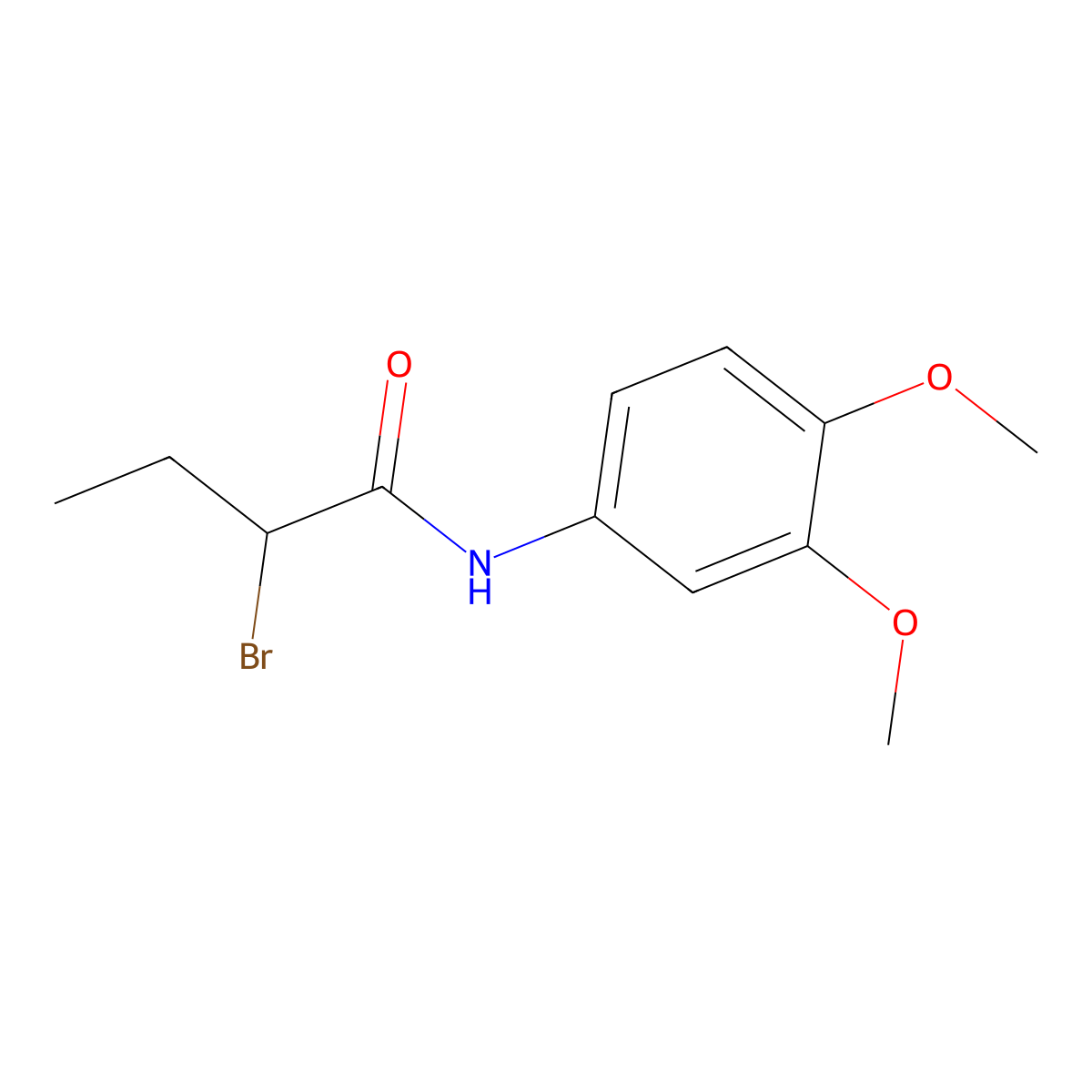 2-bromo-N-(3,4-dimethoxyphenyl)butanamide molecular structure, CAS 1119450-40-6