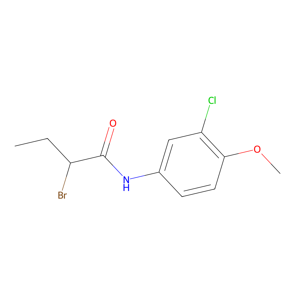 2-bromo-N-(3-chloro-4-methoxyphenyl)butanamide molecular structure, CAS 1119451-42-1