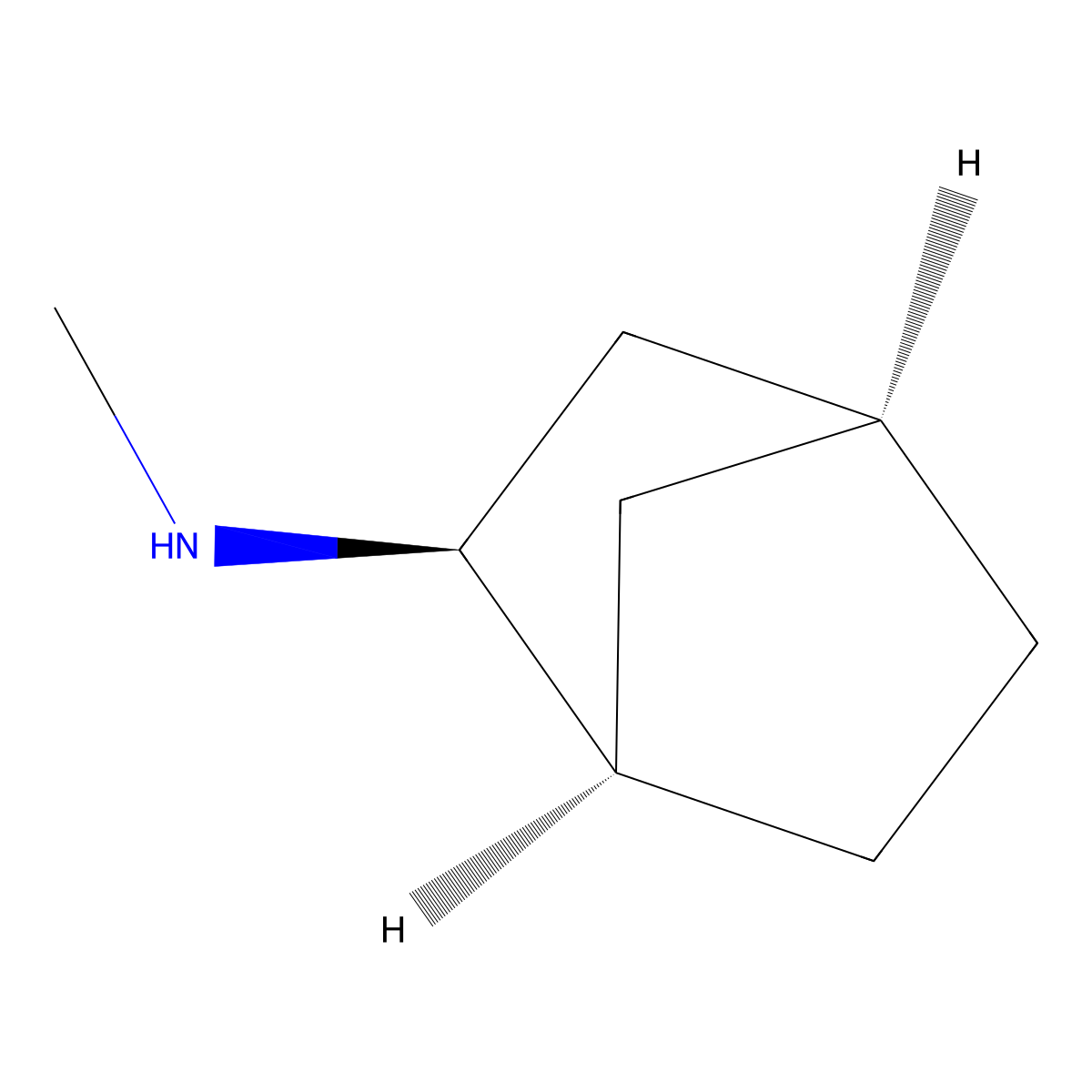 endo-N-methylnorbornan-2-amine molecular structure, CAS 112209-08-2