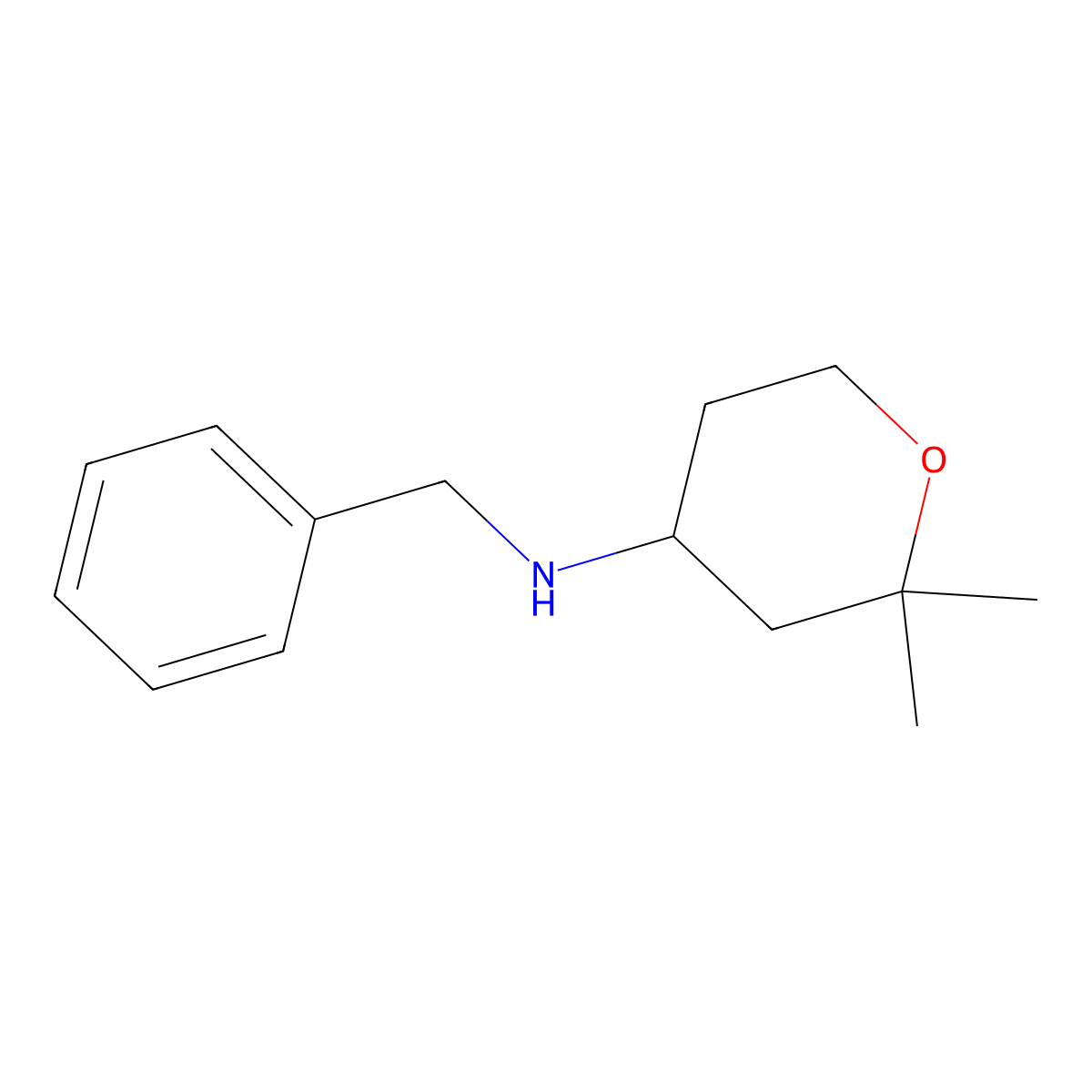 N-benzyl-2,2-dimethyltetrahydro-2H-pyran-4-amine molecular structure, CAS 112337-47-0