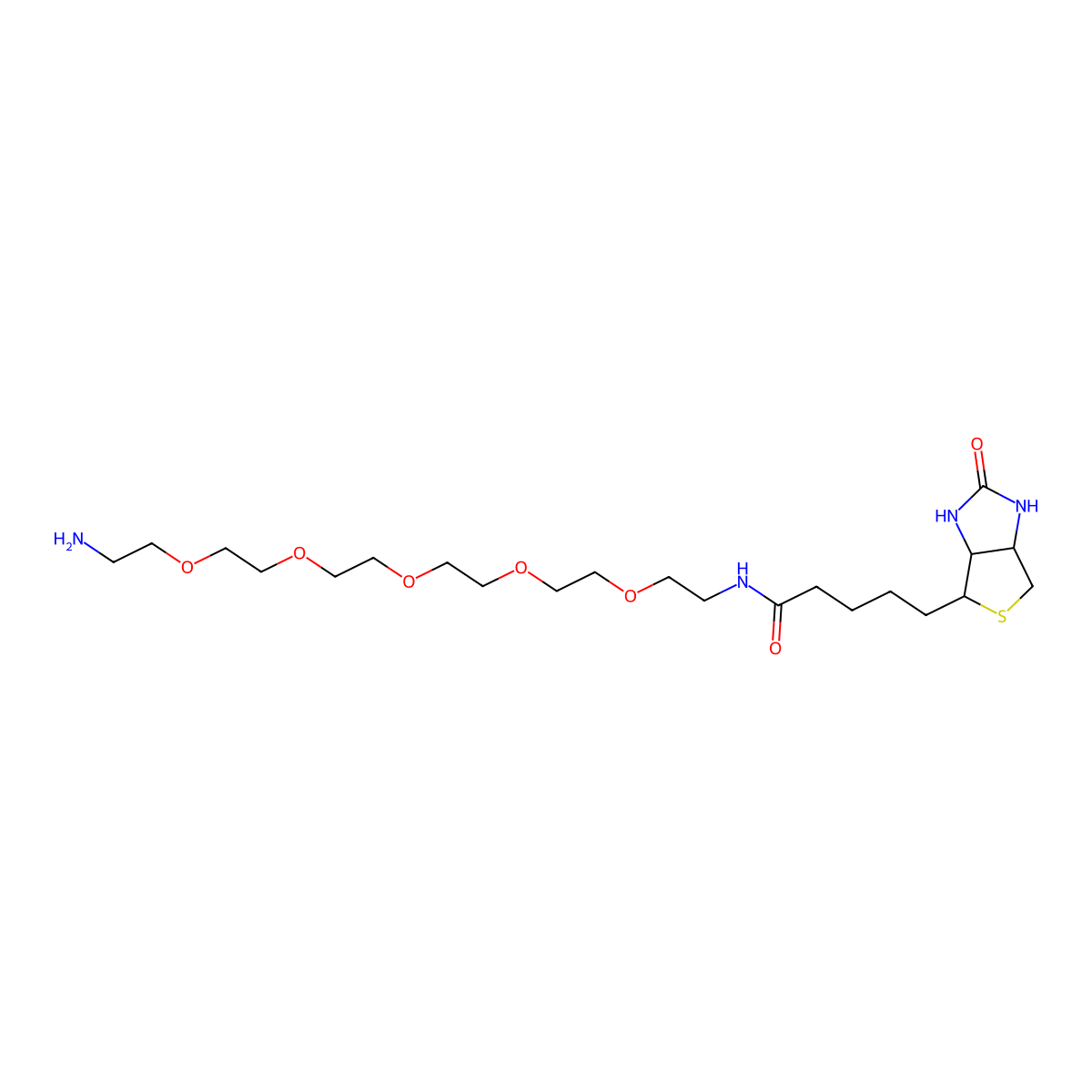 Biotin-PEG5-Amine molecular structure, CAS 113072-75-6