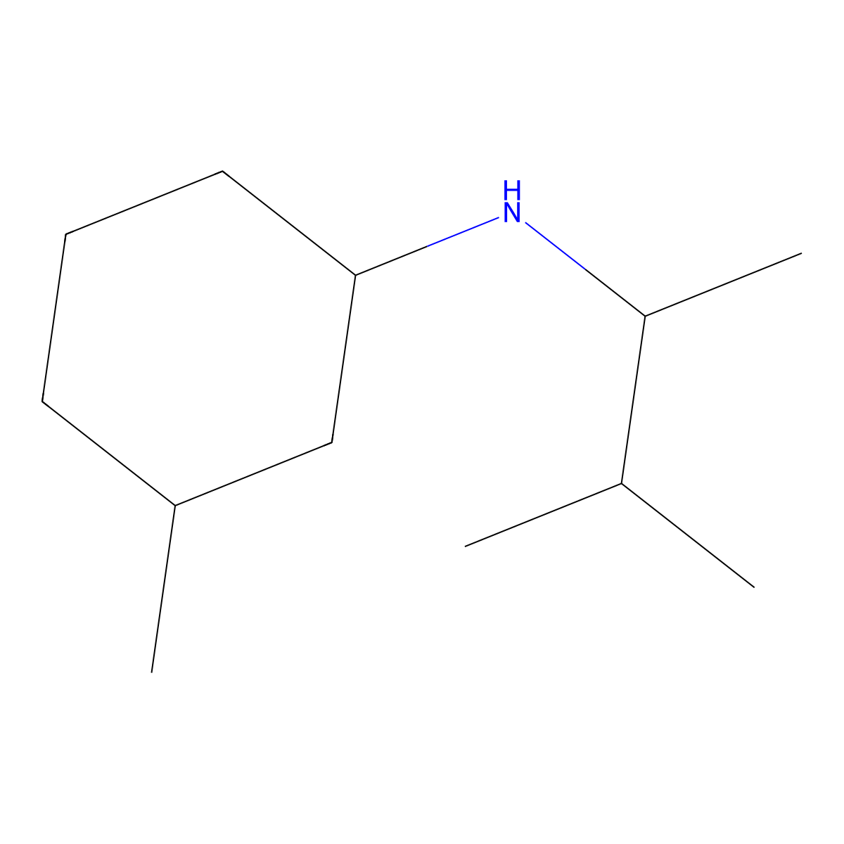 3-methyl-N-(3-methylbutan-2-yl)cyclohexan-1-amine molecular structure, CAS 1132763-80-4