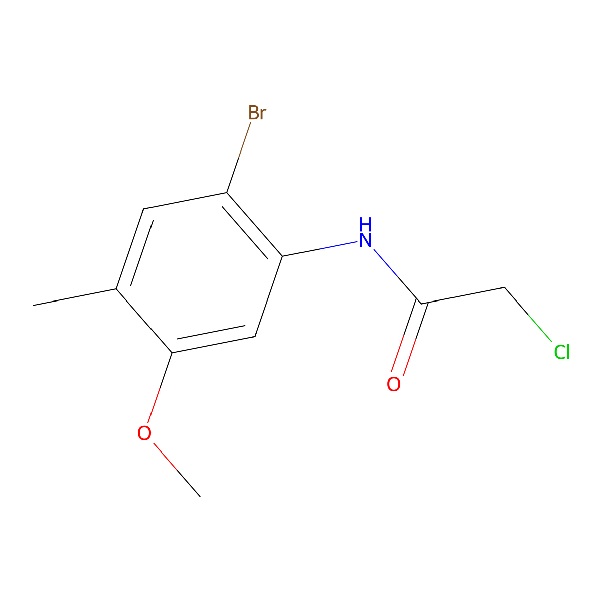 N-(2-bromo-5-methoxy-4-methylphenyl)-2-chloroacetamide molecular structure, CAS 1135282-90-4