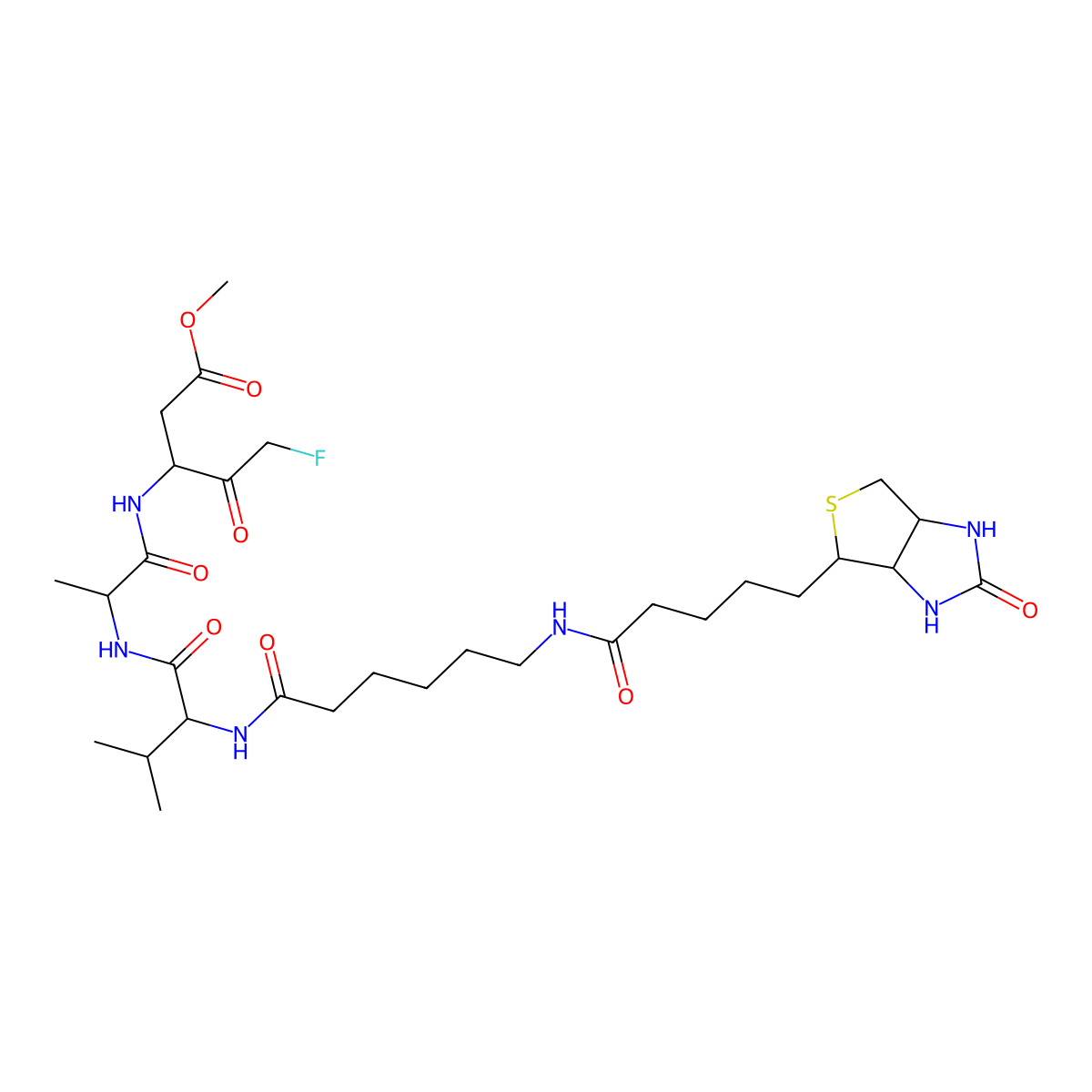Biotin-VAD-FMK molecular structure, CAS 1135688-15-1