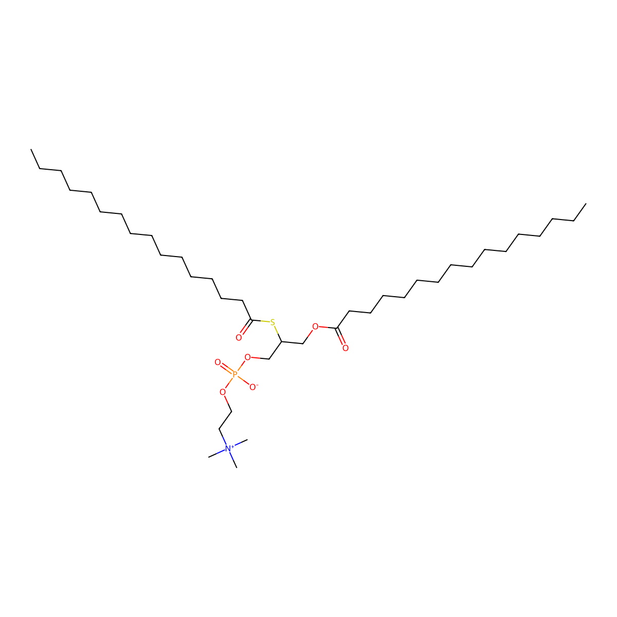1-Palmitoyl-2-thiopalmitoyl phosphatidylcholine molecular structure, CAS 113881-60-0
