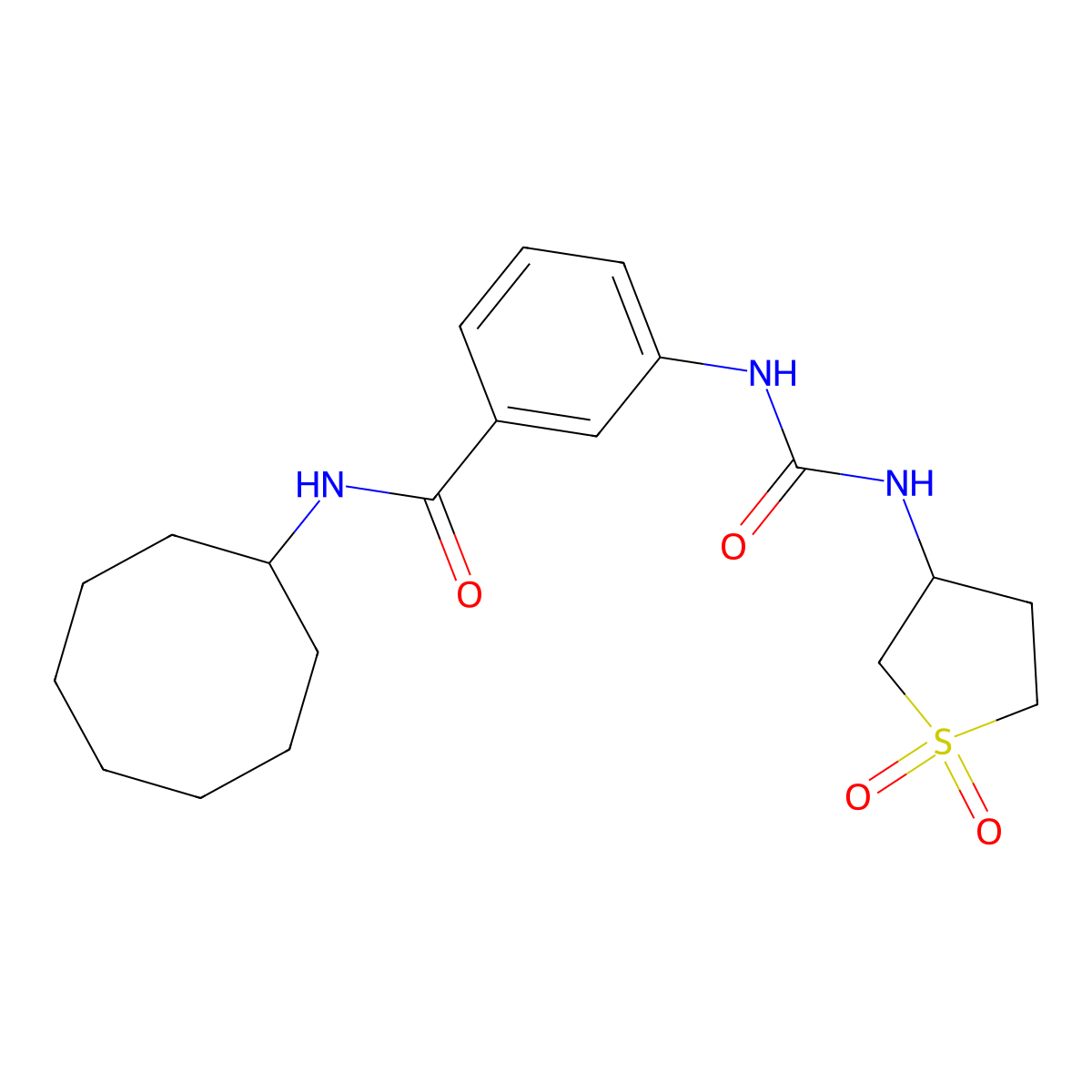 N-cyclooctyl-3-{[(1,1-dioxidotetrahydrothiophen-3-yl)carbamoyl]amino}benzamide molecular structure, CAS 1144470-35-8