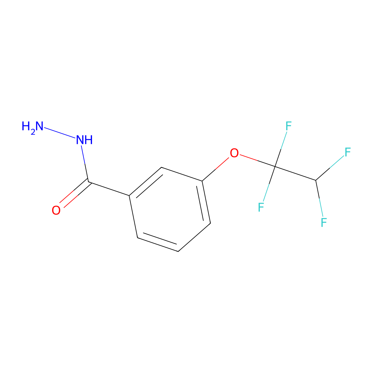 3-(1,1,2,2-Tetrafluoroethoxy)benzohydrazide molecular structure, CAS 114467-21-9