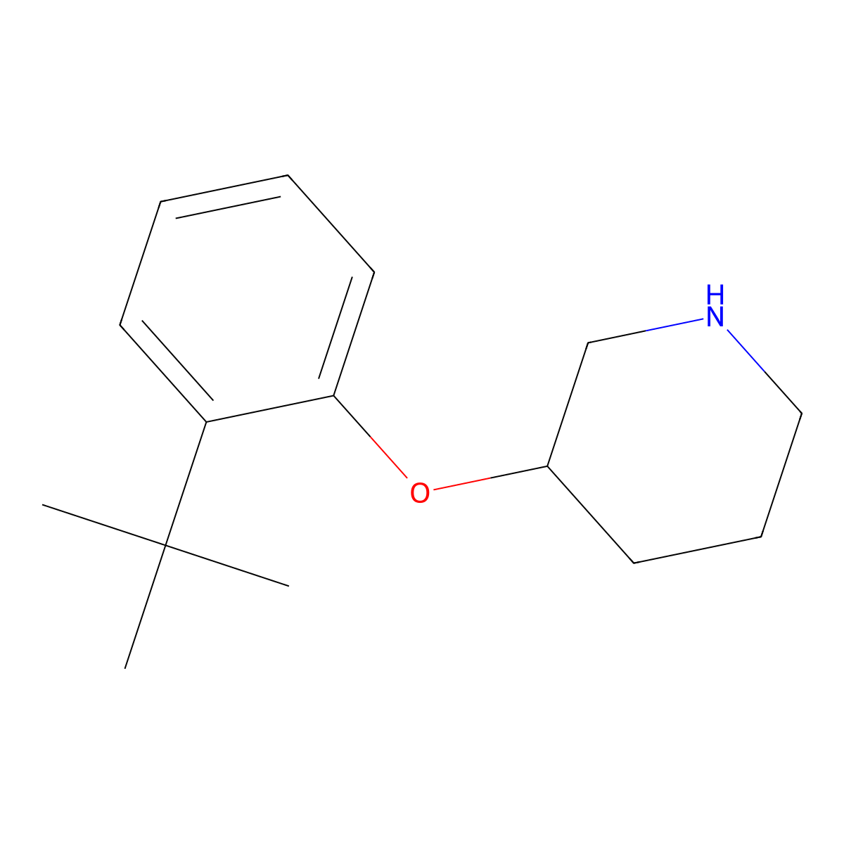 3-(2-Tert-butylphenoxy)piperidine molecular structure, CAS 1146960-69-1