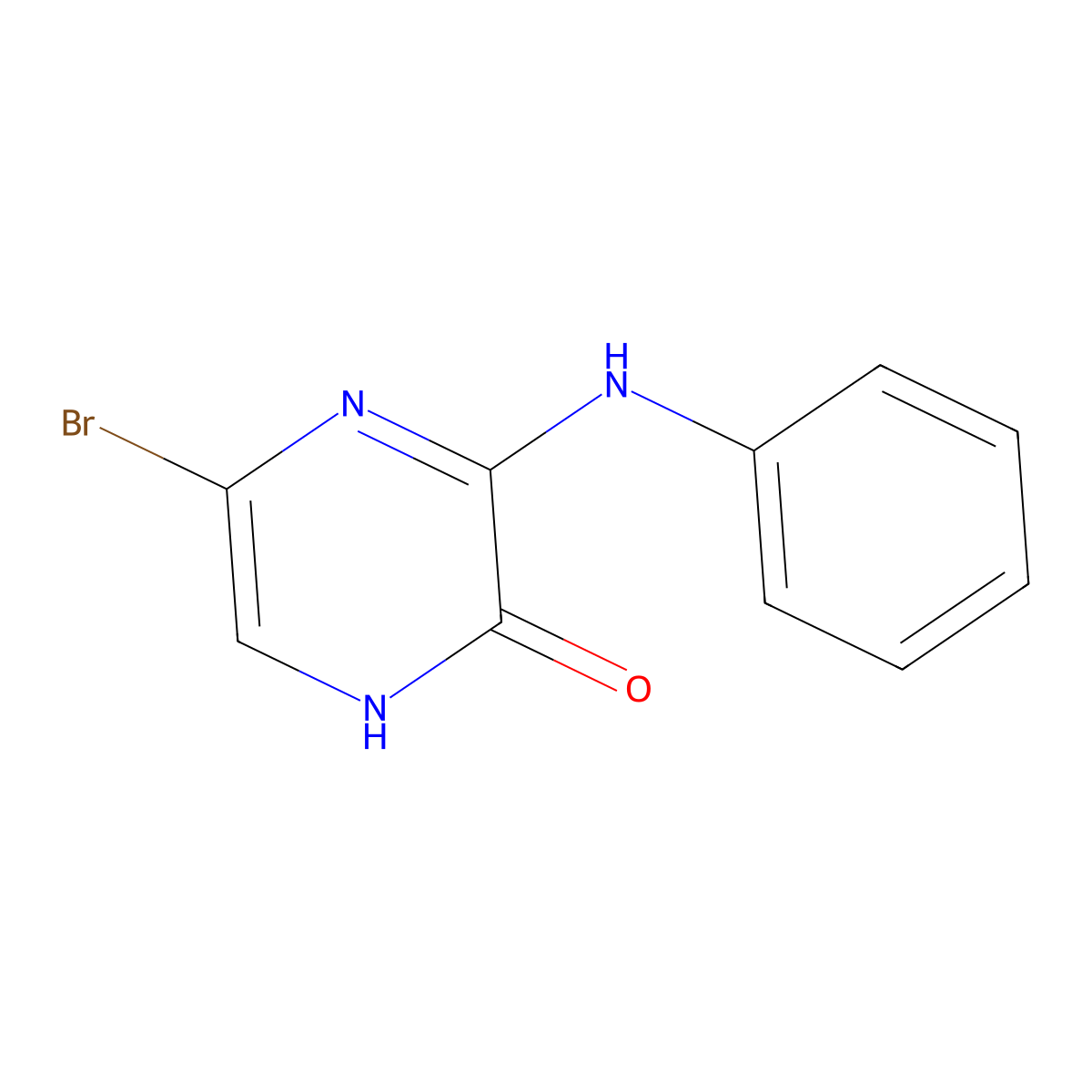 5-Bromo-3-(phenylamino)-1,2-dihydropyrazin-2-one molecular structure, CAS 1148027-28-4