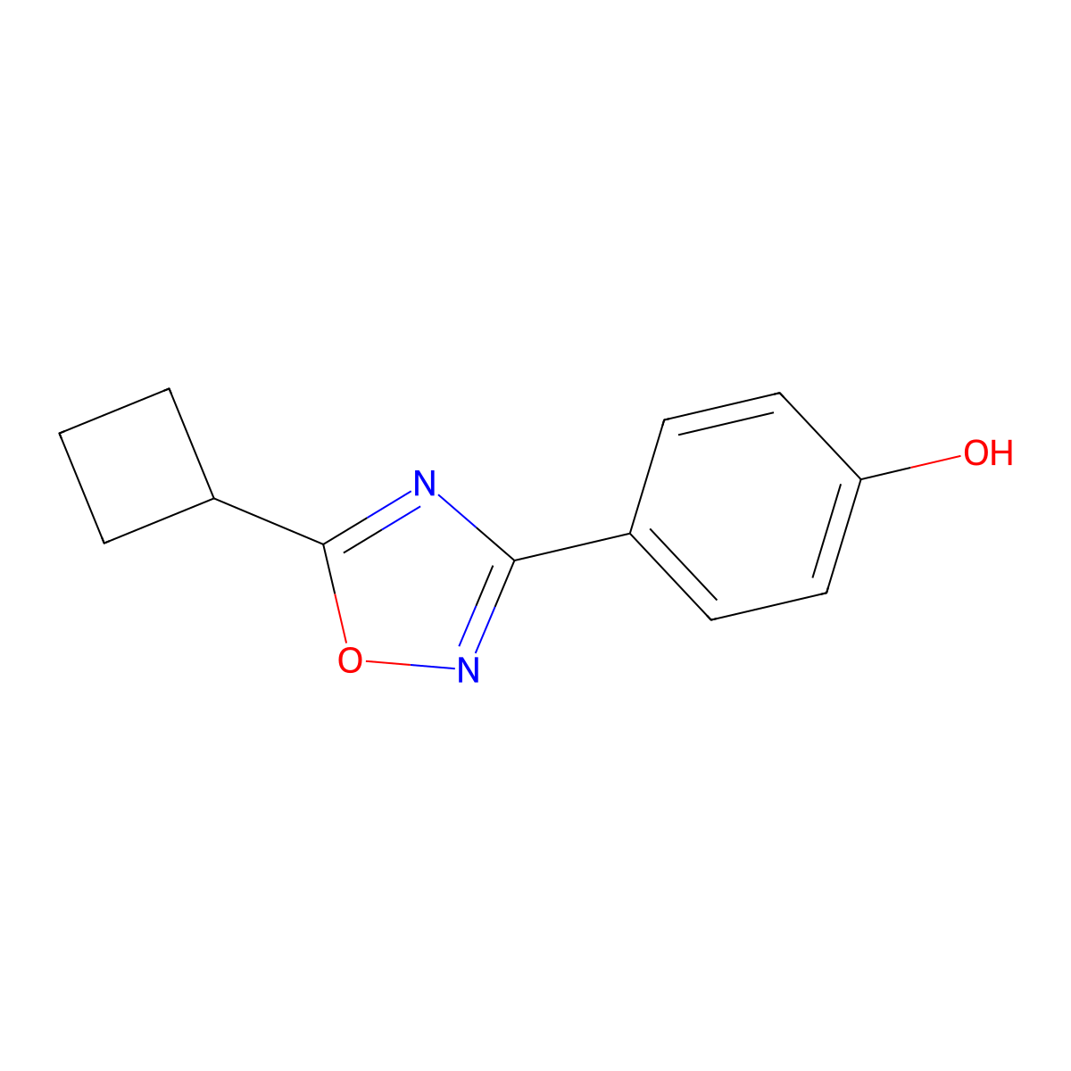 4-(5-Cyclobutyl-1,2,4-oxadiazol-3-yl)phenol molecular structure, CAS 1152505-98-0