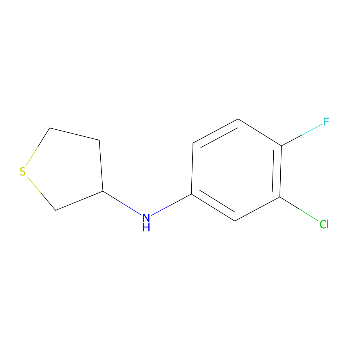 N-(3-chloro-4-fluorophenyl)thiolan-3-amine molecular structure, CAS 1152569-98-6