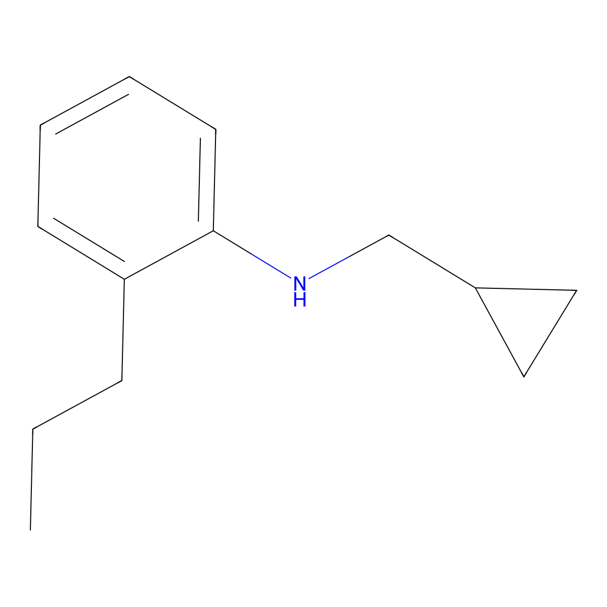 N-(cyclopropylmethyl)-2-propylaniline molecular structure, CAS 1153175-81-5