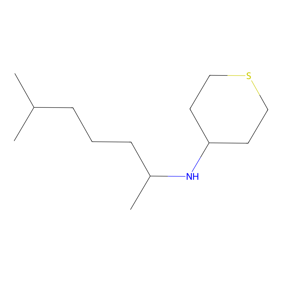 N-(6-methylheptan-2-yl)thian-4-amine molecular structure, CAS 1153349-35-9