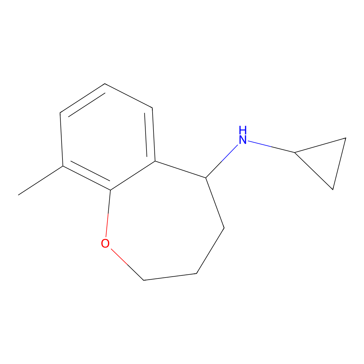 N-cyclopropyl-9-methyl-2,3,4,5-tetrahydro-1-benzoxepin-5-amine molecular structure, CAS 1153407-10-3