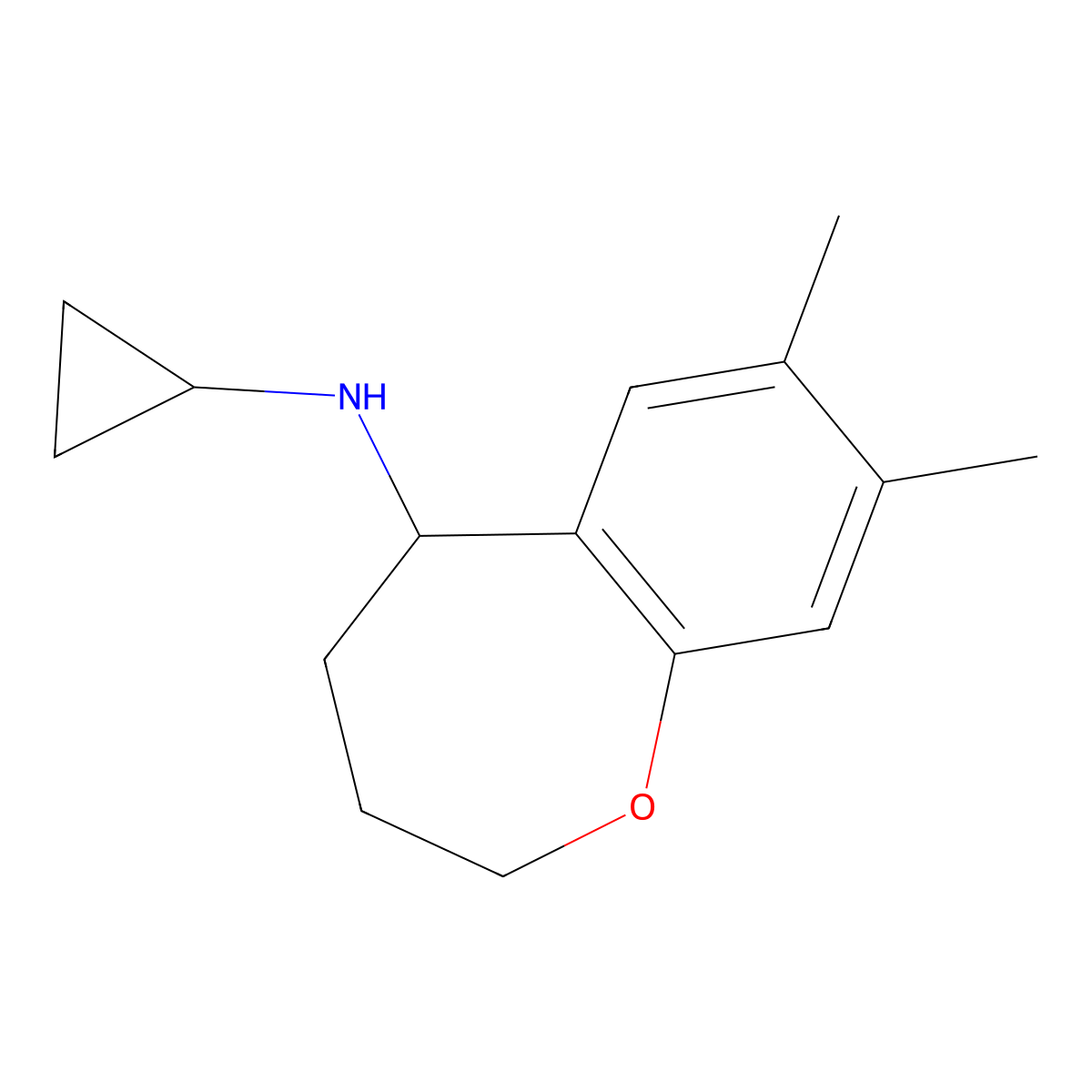 N-cyclopropyl-7,8-dimethyl-2,3,4,5-tetrahydro-1-benzoxepin-5-amine molecular structure, CAS 1153408-20-8