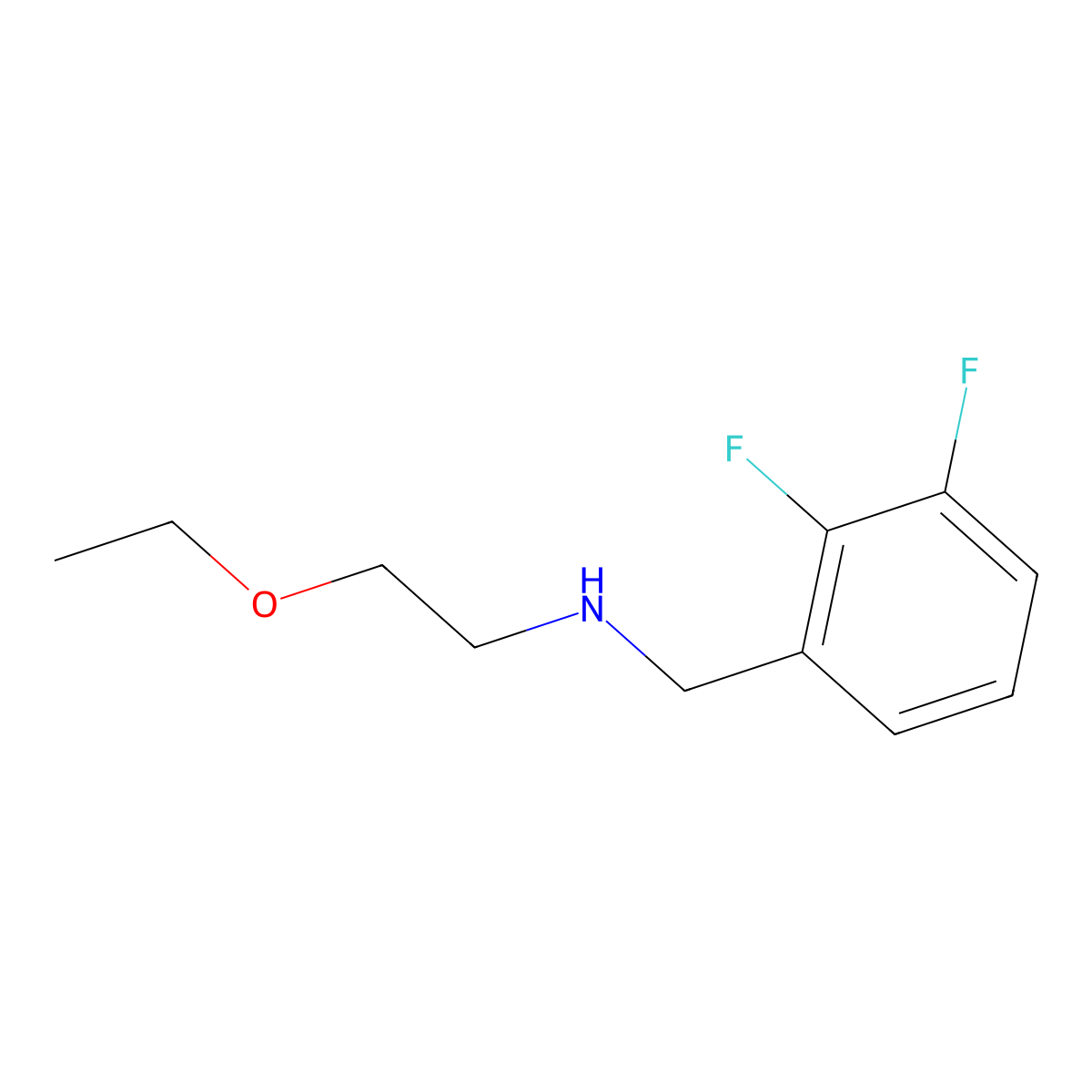 [(2,3-Difluorophenyl)methyl](2-ethoxyethyl)amine molecular structure, CAS 1153782-93-4