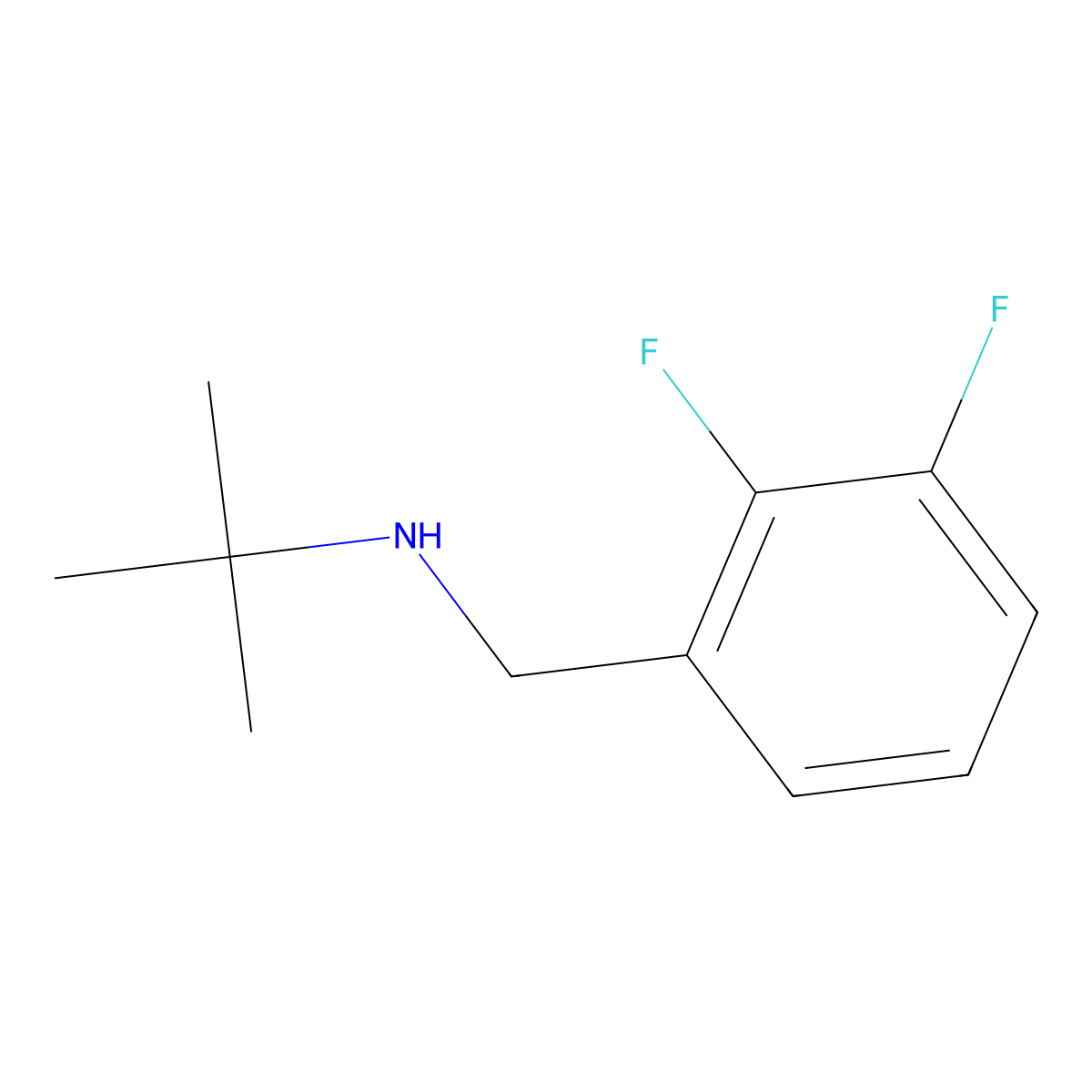 Tert-butyl[(2,3-difluorophenyl)methyl]amine molecular structure, CAS 1154012-29-9
